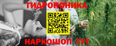 не бодяженный Гатчина