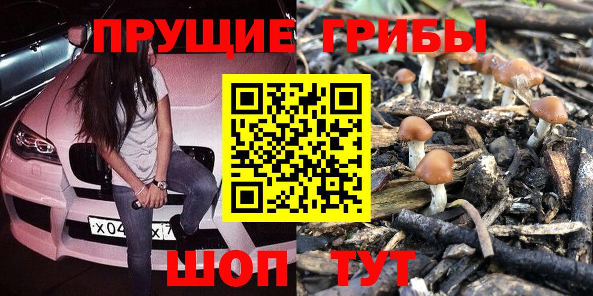 Псилоцибиновые грибы мицелий Мытищи